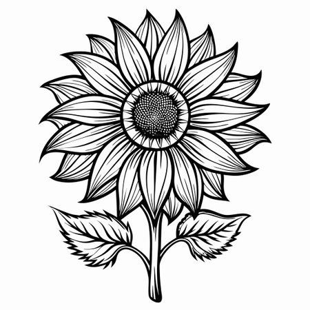 Intricate Line Art Drawing of a Majestic Sunflower for Printing Projectsのイラスト素材