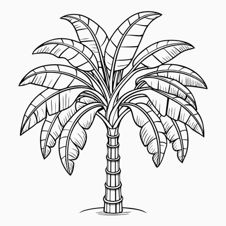 Minimalist Line Art Illustration of a Banana Tree for Printing on Productsのイラスト素材