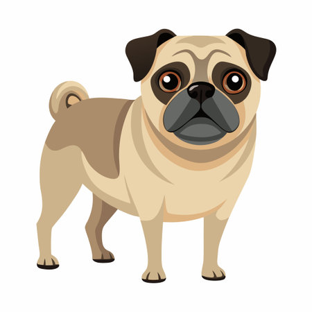 Adorable Pug Dog Isolated on White Background with Cartoonish Styleのイラスト素材