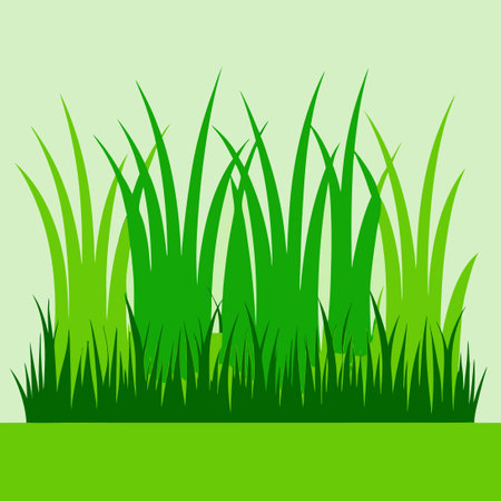Set of Green Grass Silhouettes Forming a Border for a Lush Lawnのイラスト素材