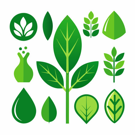 Collection of Eight Green Leaf Icons with Transparent Backgroundsのイラスト素材
