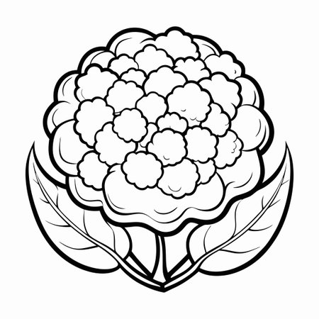Intricate Cauliflower Coloring Page for Vegetable Enthusiastsのイラスト素材