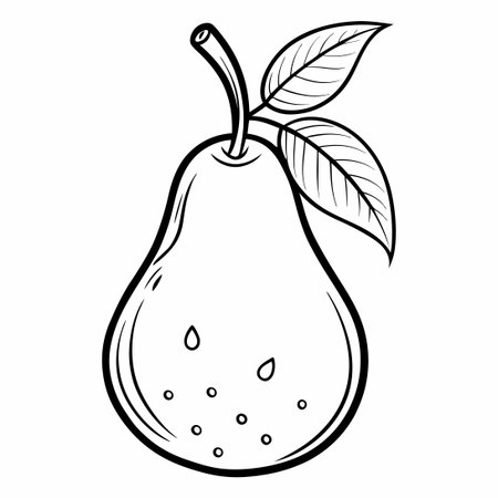 Coloring Page of a Realistic Isolated Pear Vector Illustrationのイラスト素材
