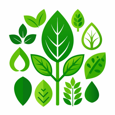 Comprehensive Collection of Verdant Green Leaf Icons: Depicting Nature's Foliageのイラスト素材