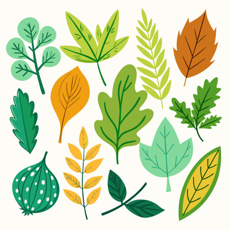 Comprehensive Collection of Hand-Drawn Leaf Doodles in Vibrant Colorsのイラスト素材