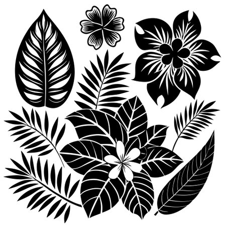 Tropical Floral Elements and Silhouettes in a Vibrant Botanical Displayのイラスト素材