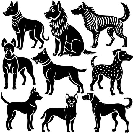 Complete Vector Set of Different Dog Breed Silhouettes in Isolationのイラスト素材
