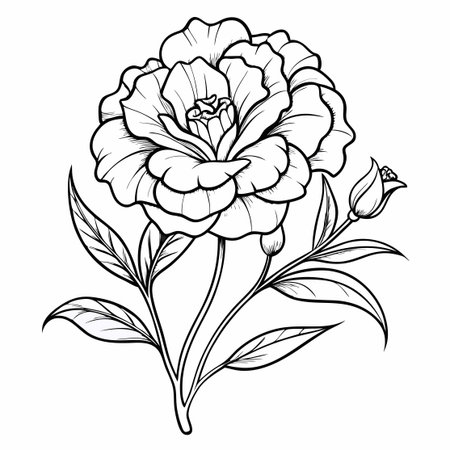 Delicate Lisianthus Flower Coloring Page for Adults to Relax and Unwindのイラスト素材