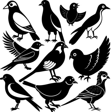 Flat Illustration of a Collection of Diverse Bird Breedsのイラスト素材