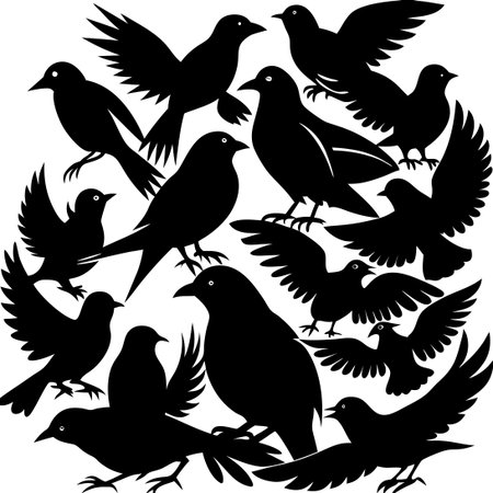 Collection of Birds Silhouettes in Vector Format with Intricate Detailsのイラスト素材