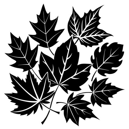 Intricate Black Silhouettes of Autumn Leaves Set on a Transparent Backgroundのイラスト素材