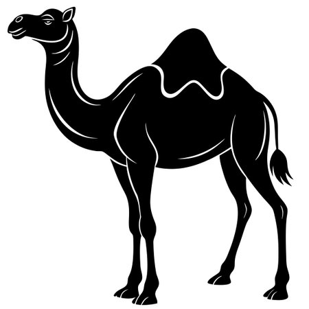 Graceful Camel Silhouette Against a Serene Desert Sunsetのイラスト素材