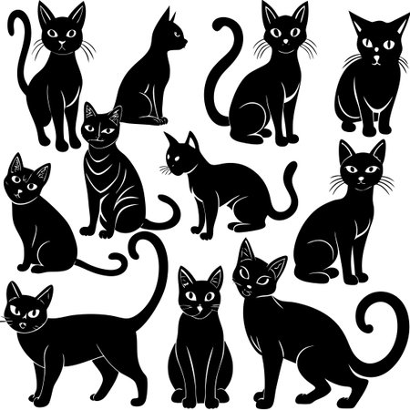 Silhouette of a Collection of Isolated and Graceful Cats Vectorのイラスト素材