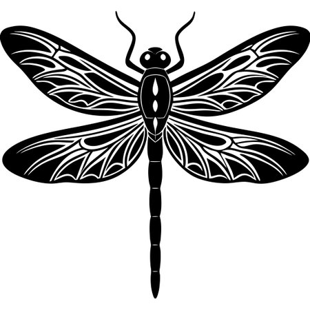 Black Silhouette Set of Dragonflies Isolated on White Backgroundのイラスト素材