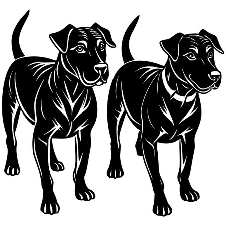 Silhouette of Dogs Walking Together Facing Forward on White Backgroundのイラスト素材