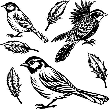 Continuous Line Drawing Collection of Graceful Feather Birdsのイラスト素材