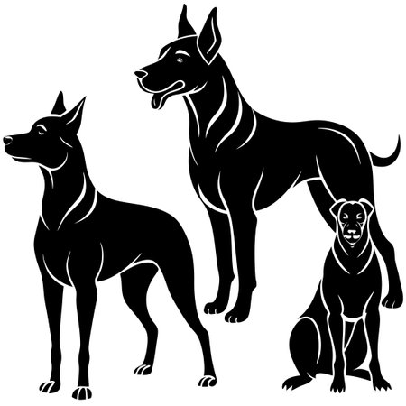 Silhouette of Dogs in a Variety of Poses - Vector Graphicのイラスト素材