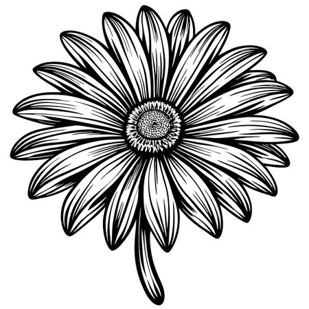 Vibrant Isolated Daisy Blossom in a Kaleidoscope of Colorsのイラスト素材
