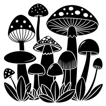Silhouette Collection of Isolated Mushroom Shapes in a Set of Threeのイラスト素材