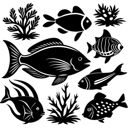 Silhouette of Sea Creatures and Algae on White Backgroundのイラスト素材