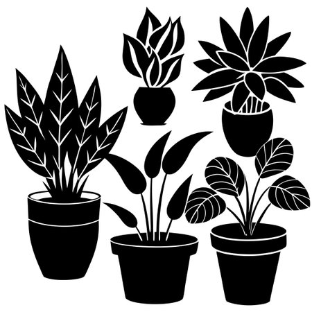 Silhouetted Plants in Terracotta Pots on a White Backgroundのイラスト素材