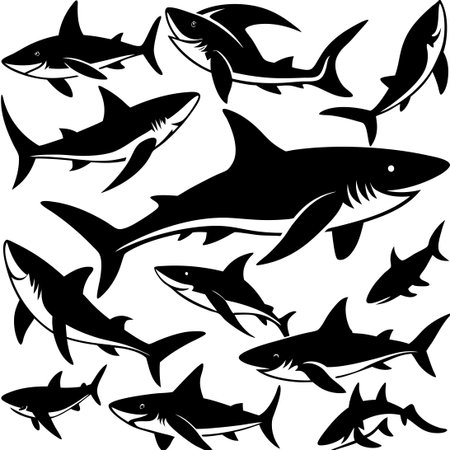 Collection of Detailed and Realistic Shark Silhouettes in Vector Formatのイラスト素材