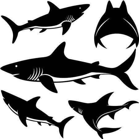 Silhouetted Sharks in Various Dynamic Poses in a Vector Formatのイラスト素材
