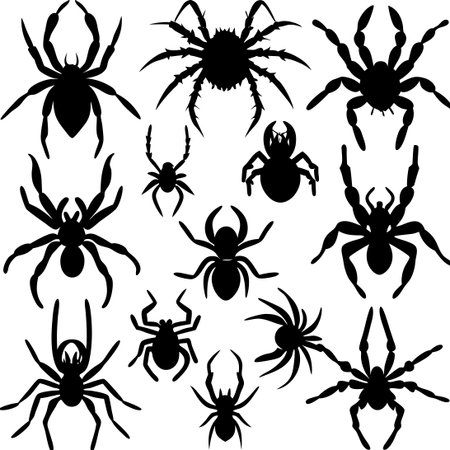 Intricate Silhouette Spider Set Collection Exhibiting Unique Formsのイラスト素材
