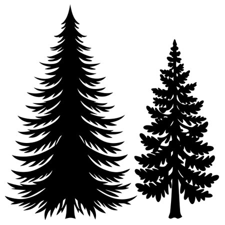 Set of Isolated Vector Silhouettes of Fir and Spruce Tree Conifersのイラスト素材