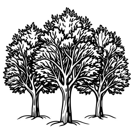 Graceful Trees Etched with a Single Unbroken Lineのイラスト素材