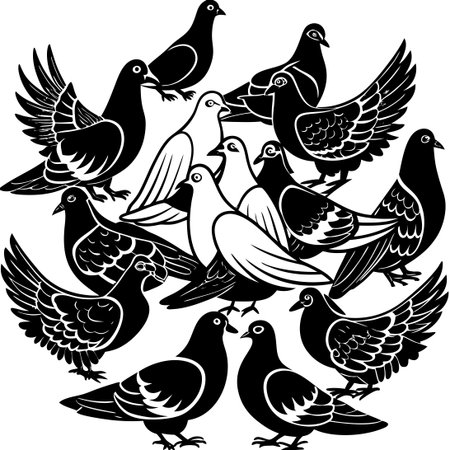 Collection of Majestic White Pigeons in Vector Formatのイラスト素材