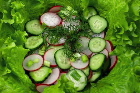 Vegetable salad of green leaves mixの写真素材