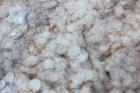 The texture of salt crystals in the water of the estuary. Extraction of salt. Full frame white...