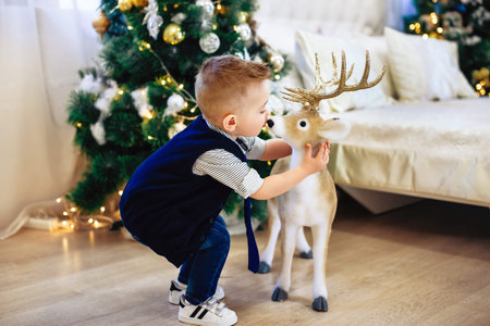 Cute boy hugs a toy deer. Child on the background of a decorated Christmas room. New year holiday. Christmas and New yearの写真素材