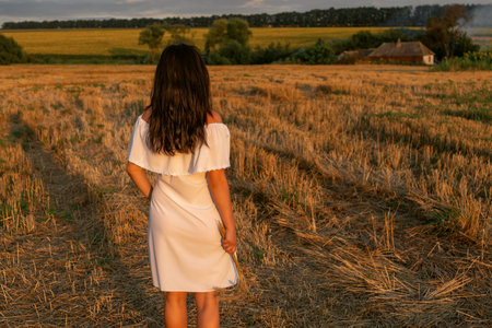 Long hair girl on a nature background. Back view of a beauty brunette woman portrait on a field during sunset. Beautiful panorama landscape.の写真素材