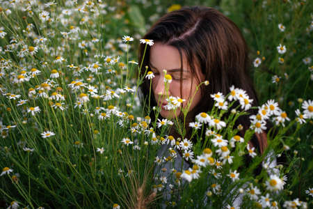 Beautiful woman in chamomile field. Close up portrait of a brunette girl sitting in daisy field.の写真素材