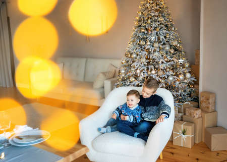 Loving brothers sittings near the Christmas tree with a lot of gifts. Happy New Year. Christmas morning in bright living room. Stylish fashion little boys wearing jackets. bokeh in the foreground.の写真素材