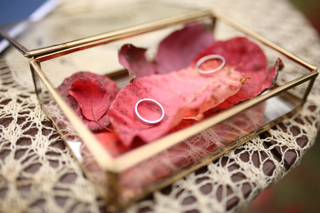 Glass box filled with red leaves and on them, there are two wedding/engagement rings.