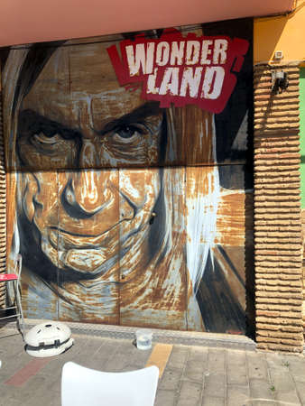 Graffiti of rock singer Iggy Pop on the gate of a bar in MatalascaÃ±as beach, Almonte, Huelva, Andalusia, Spainのeditorial素材