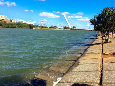 Promenade along the Guadalquivir river with view to the background of the Alamillo bridge in Seville, Andalusia, Spainの写真素材