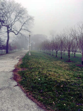 Lonely park on cold foggy morning in Chicago, IL, USの写真素材