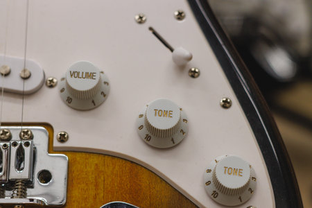 Details white electric guitar buttons