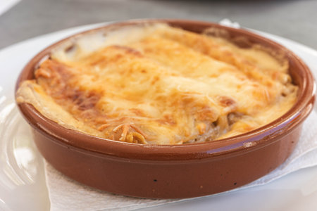 Baked Cannelloni in a Clay Dishの写真素材