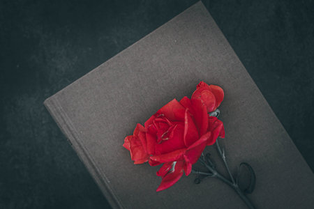Red rose on vintage brown book concept of love, memory, and nostalgia