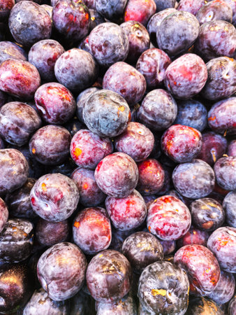 Fresh ripe plums background, colorful natural fruit textureの写真素材