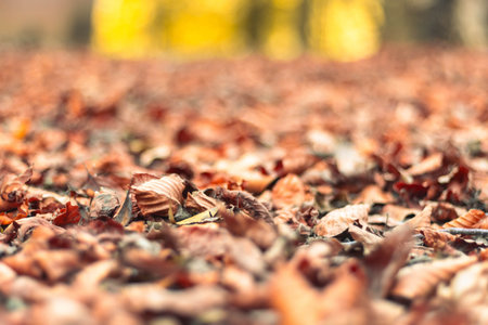 Autumn leaves blanket with soft golden background