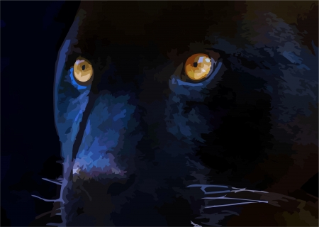 cougarの写真素材