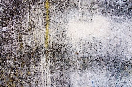 High resolution texture, background, backdrop.の写真素材