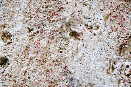 High resolution texture, background, backdrop.の写真素材