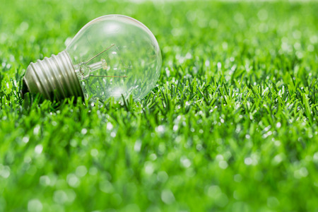 Energy light bulb on green grass backgroundの写真素材